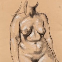 Nude • 24 x 18 inches, charcoal and white chalk on toned paper